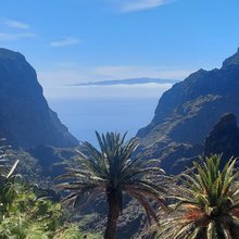 Tenerife Holiday Guide app icon